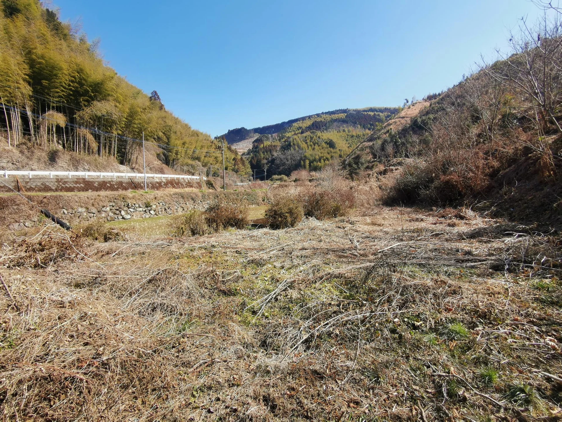 View 37