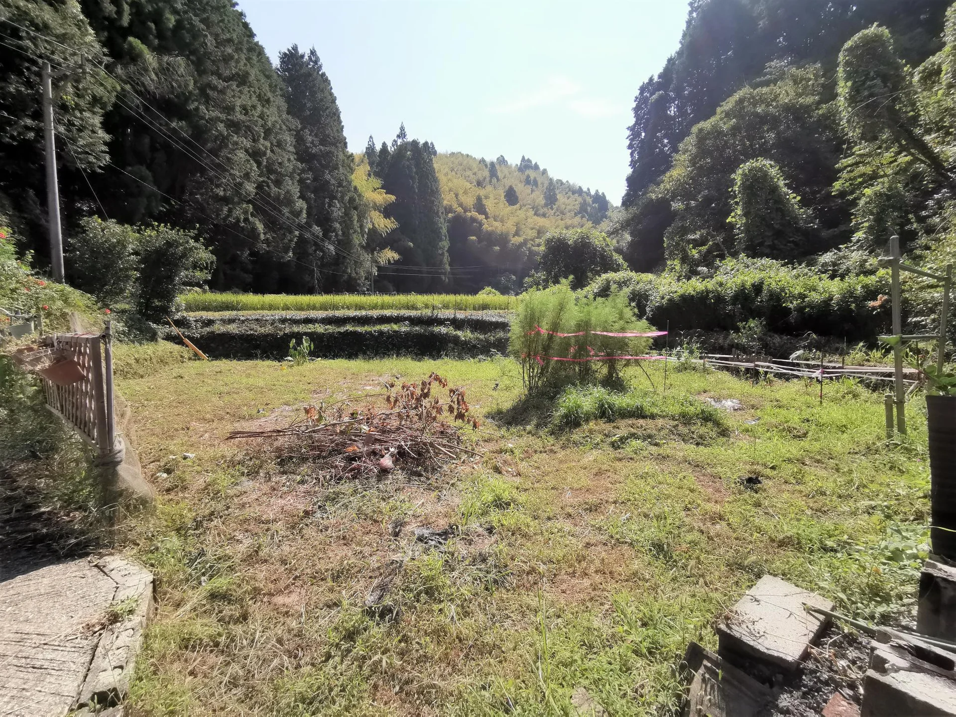 View 27