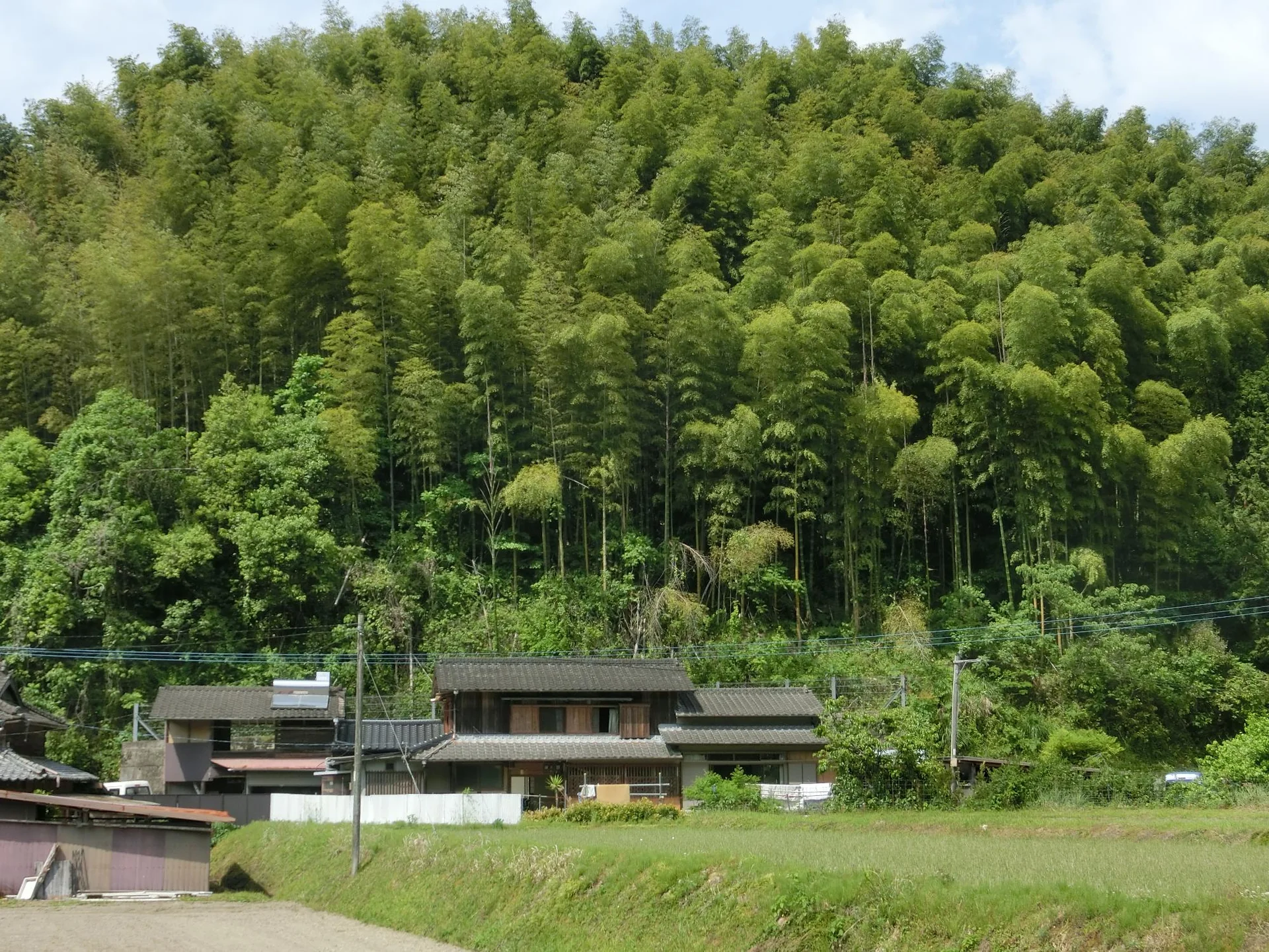 View 28