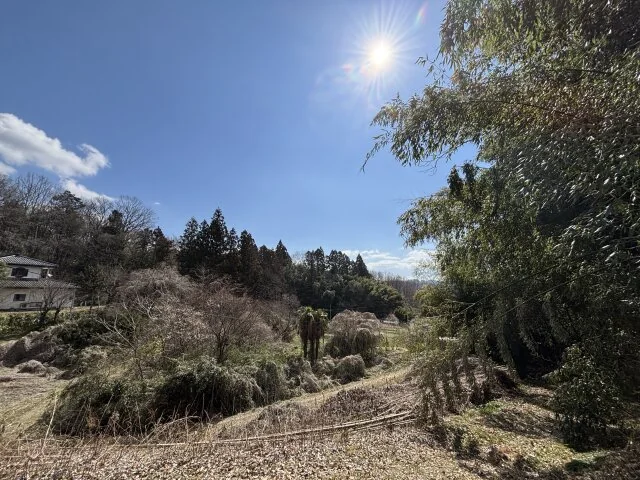 View 32