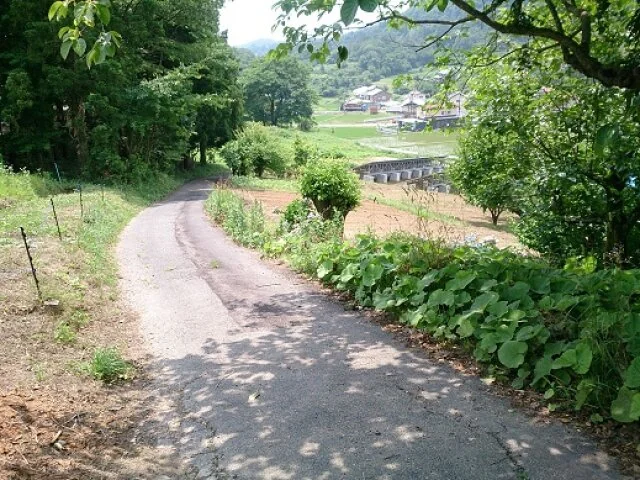 View 4