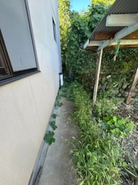 View 16