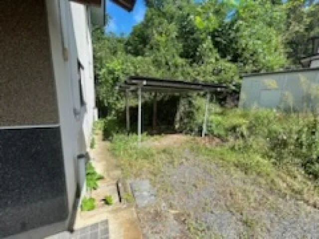View 46