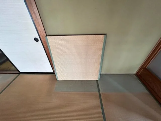 View 65