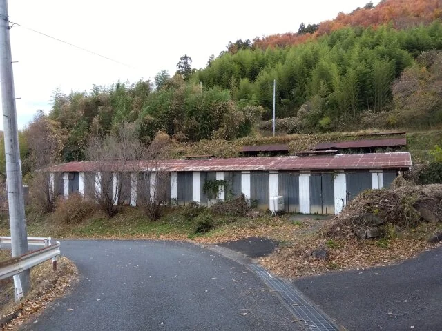 View 10