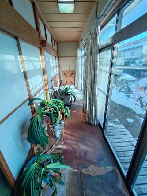 View 12