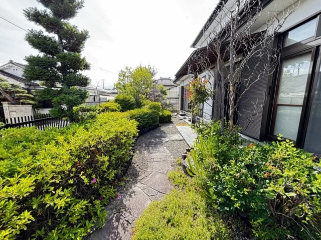 View 5