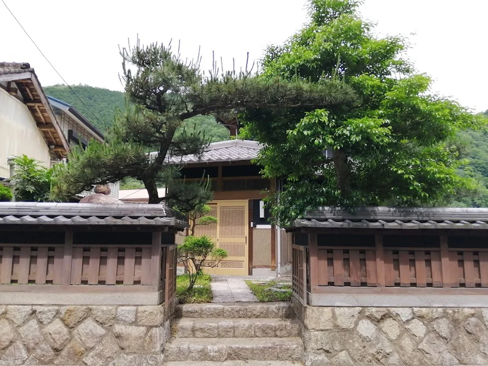 View 14