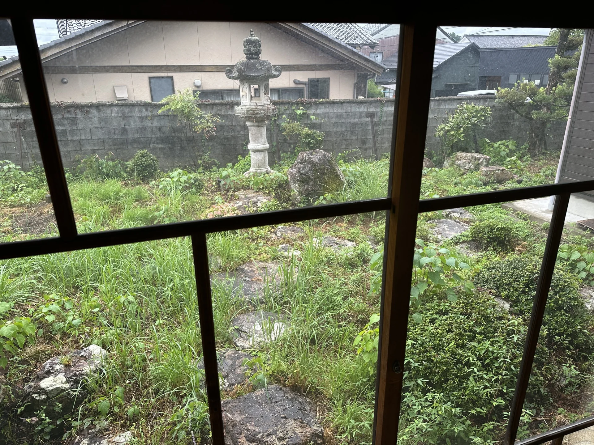 View 16