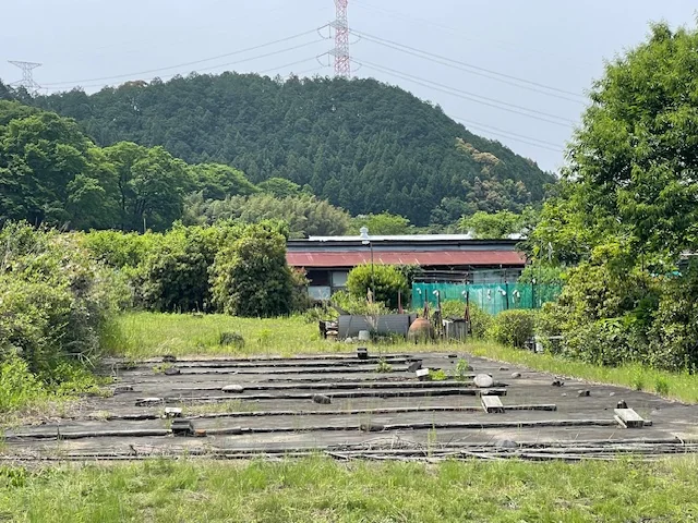 View 41