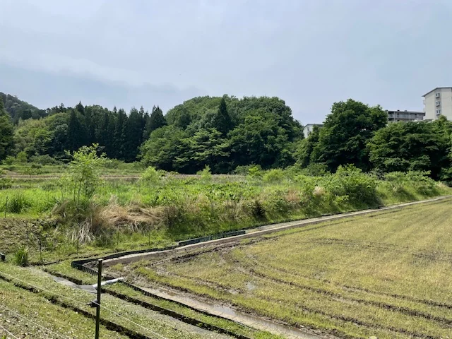 View 44