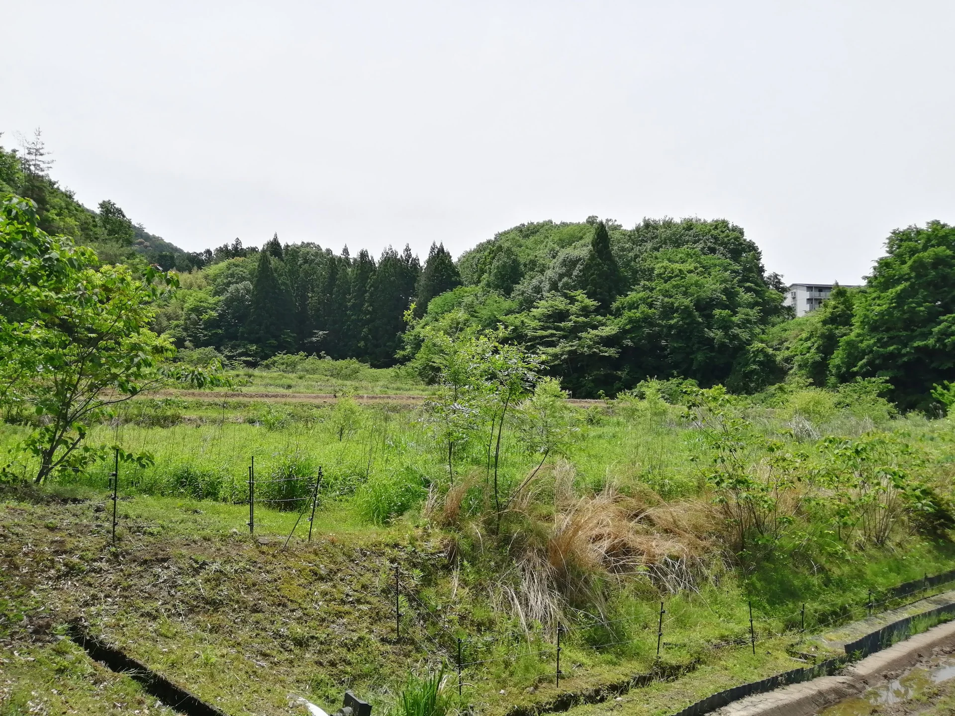 View 45