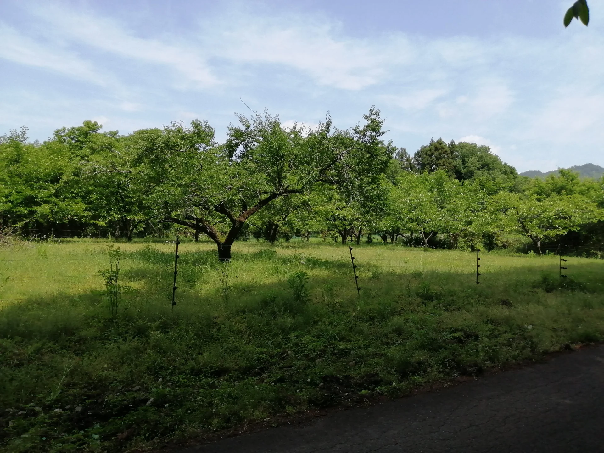 View 50