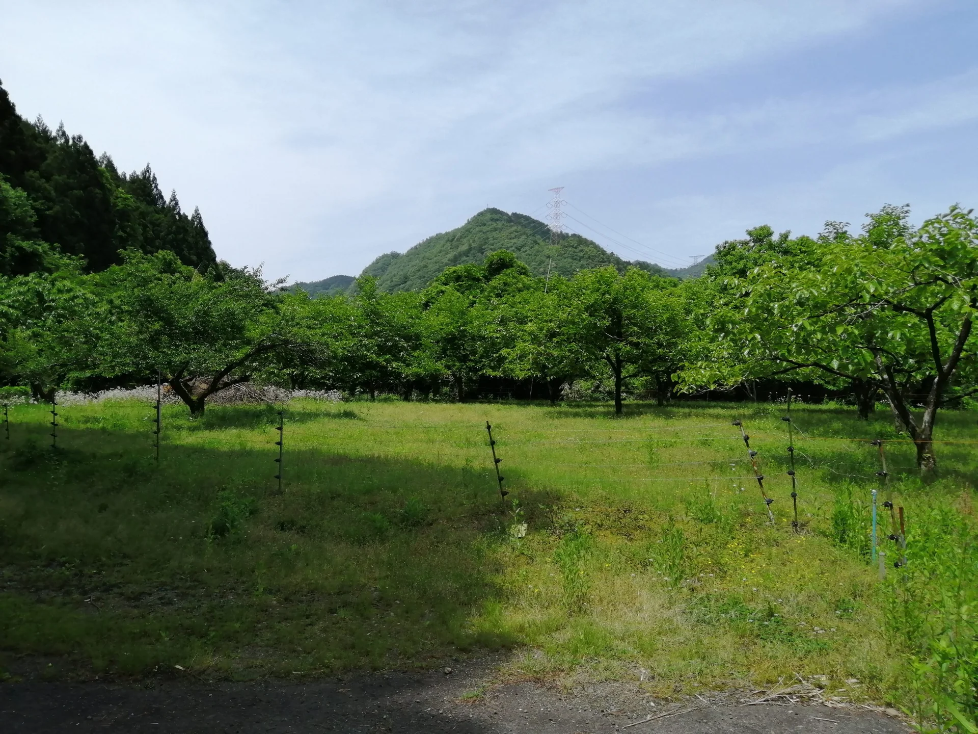 View 51