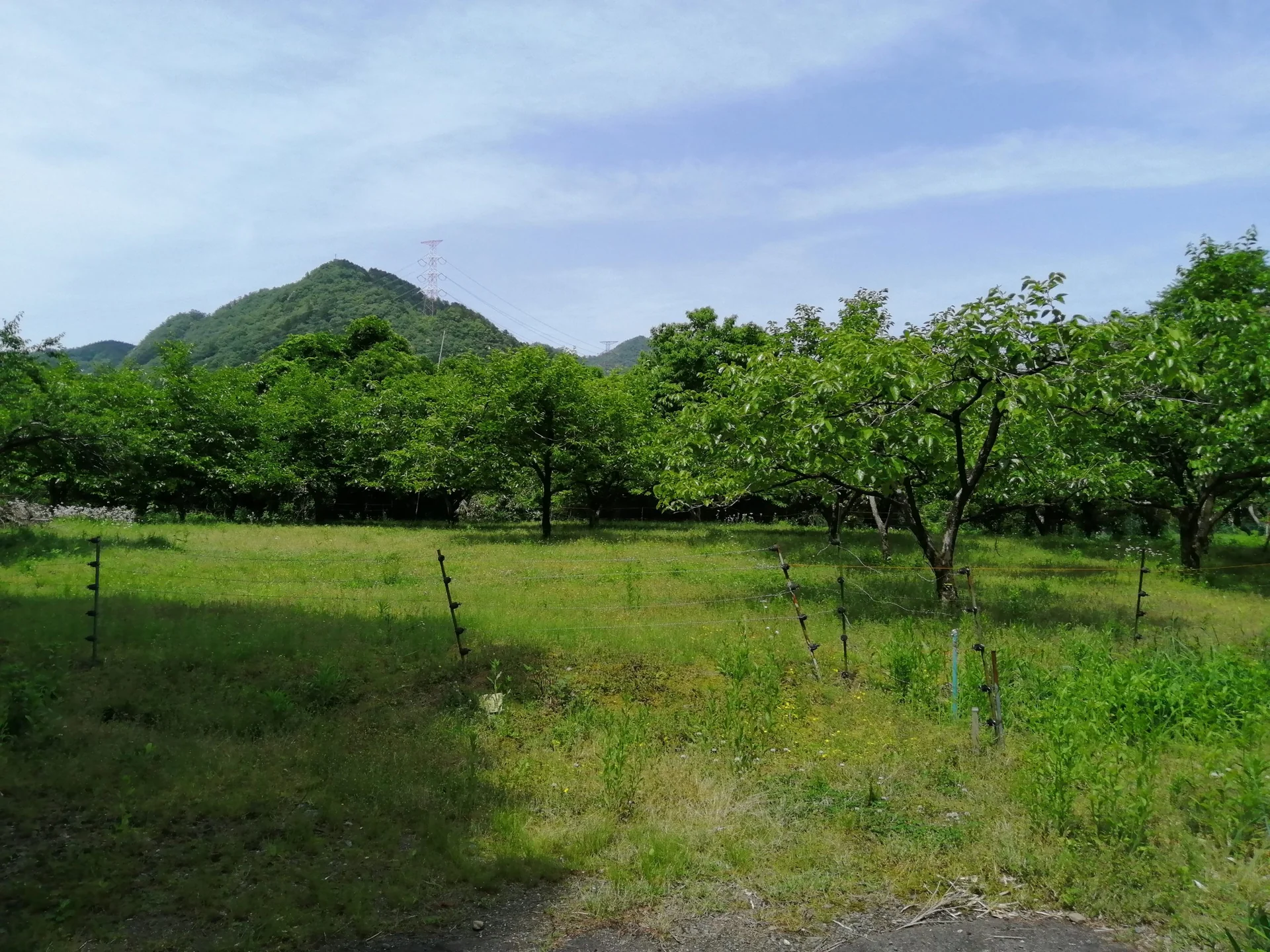 View 52