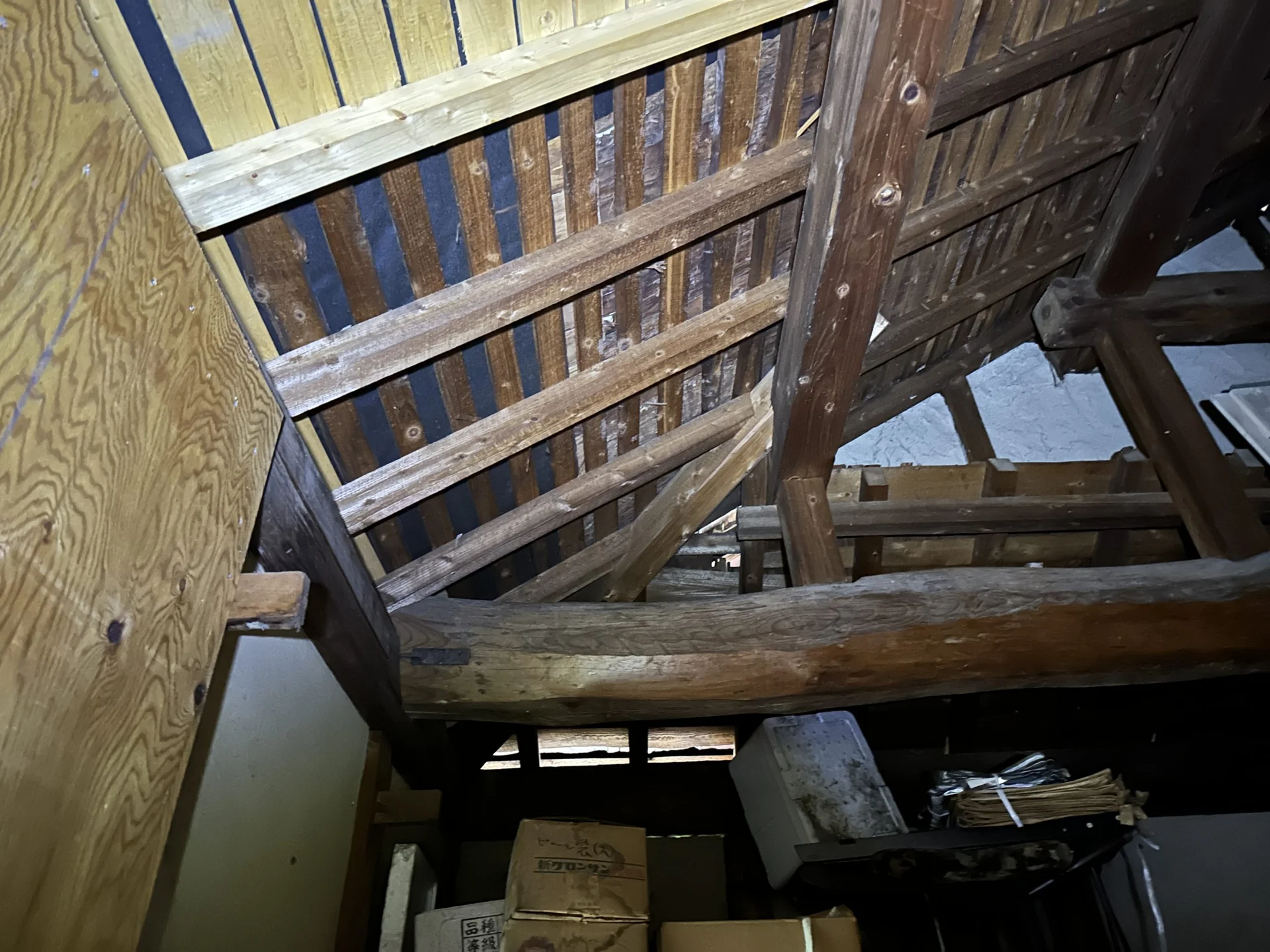 View 11