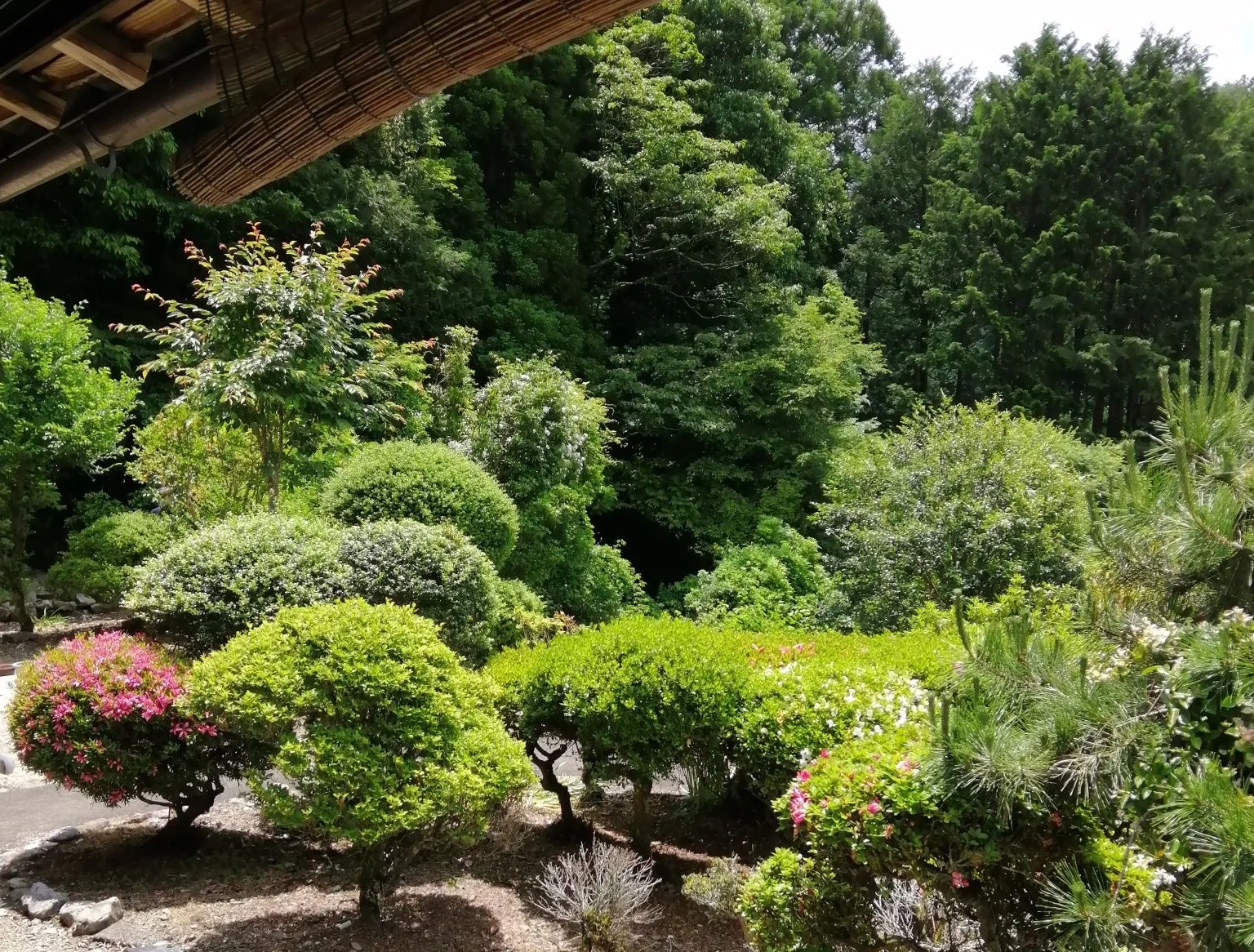 View 3