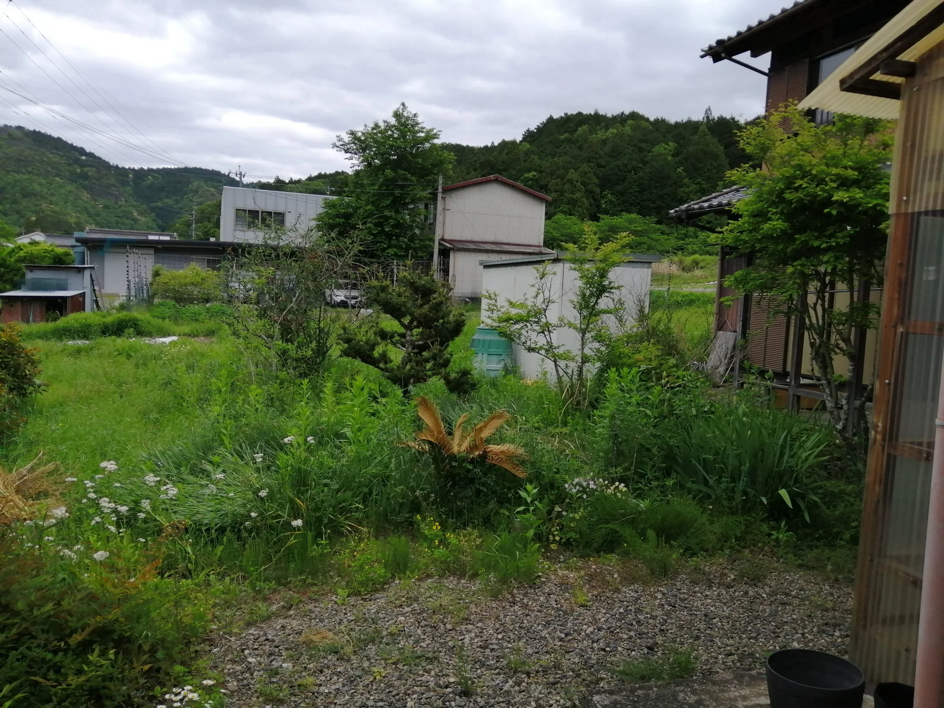 View 8
