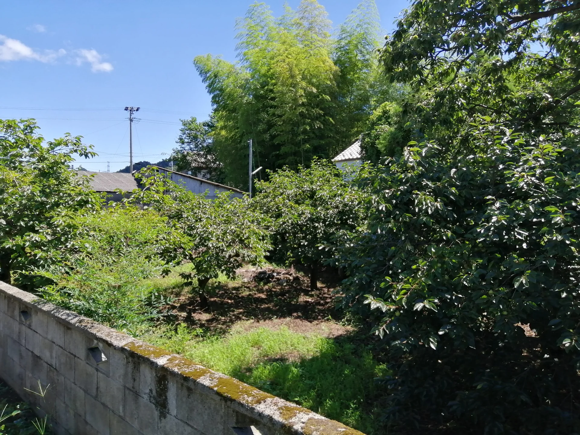 View 5