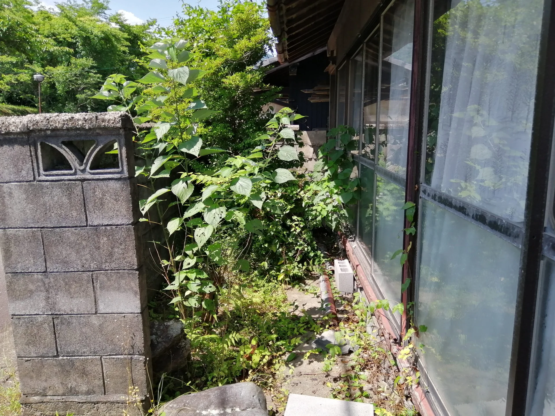 View 13