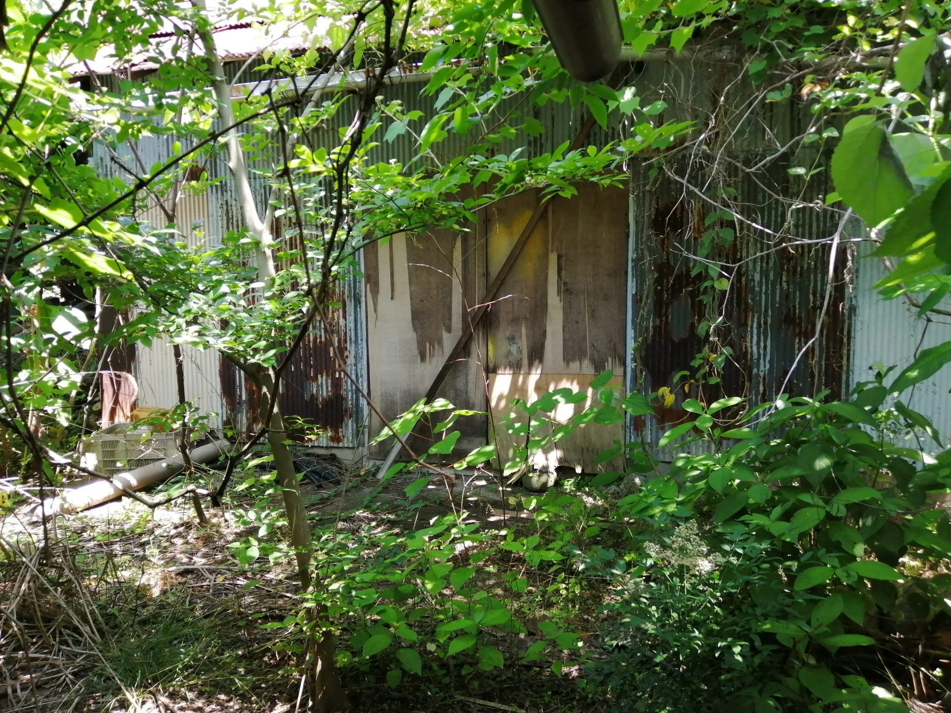 View 15