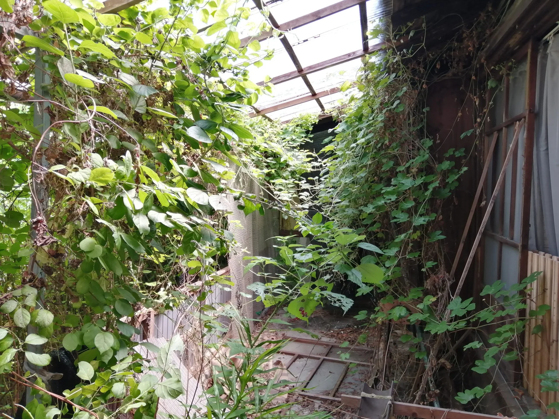 View 16