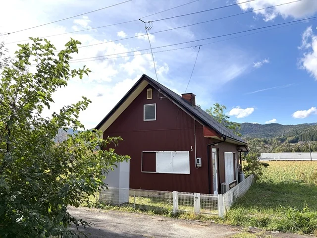 View 12