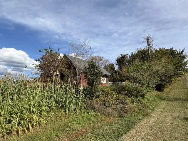 View 8