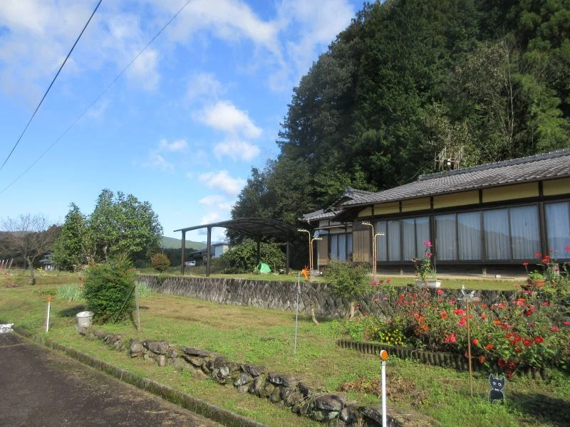 View 8