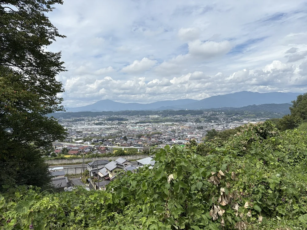 View 2