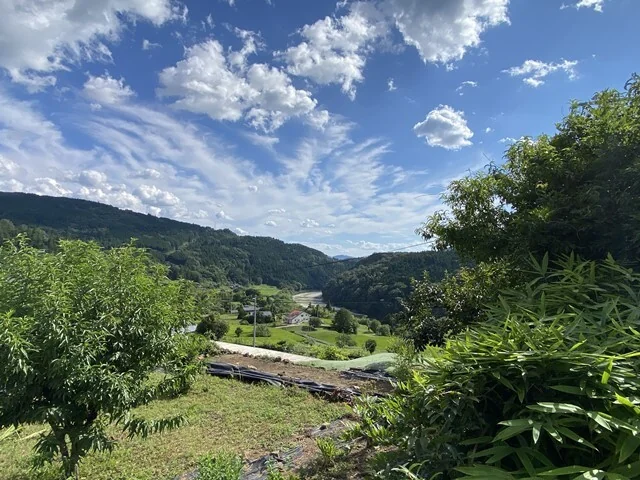 View 7