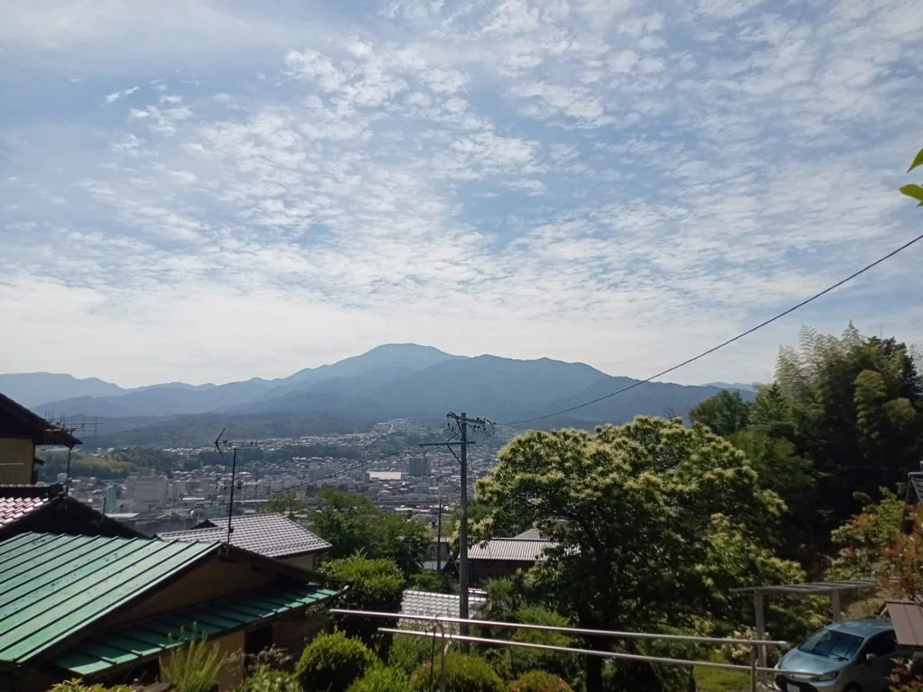 View 10