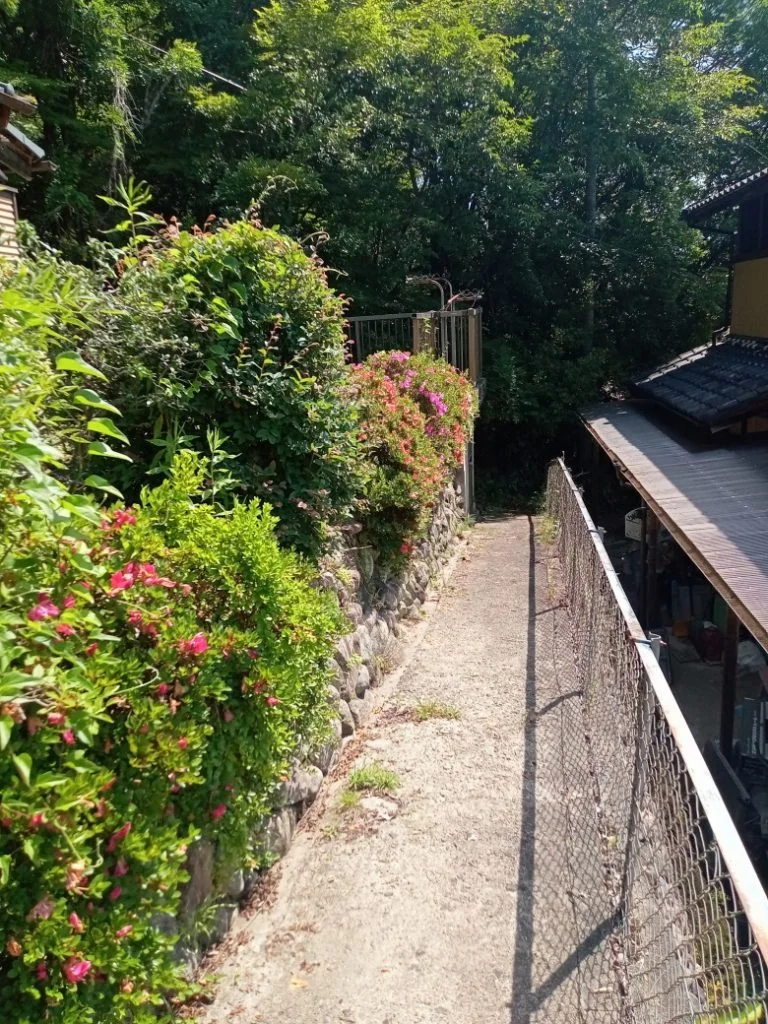View 11