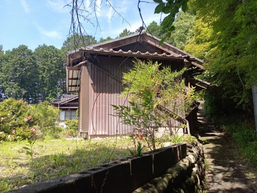 View 15