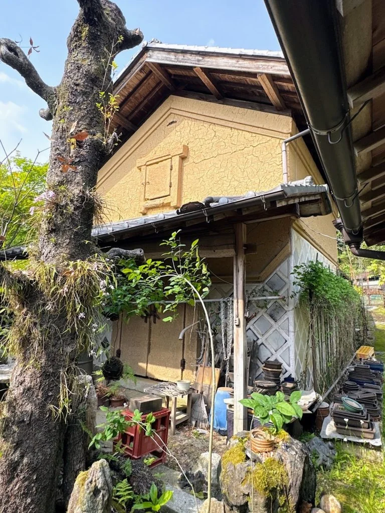 View 11
