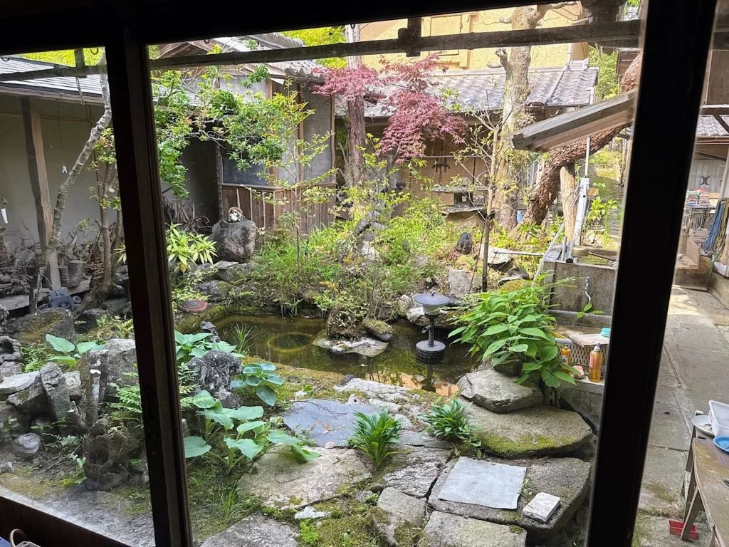 View 7