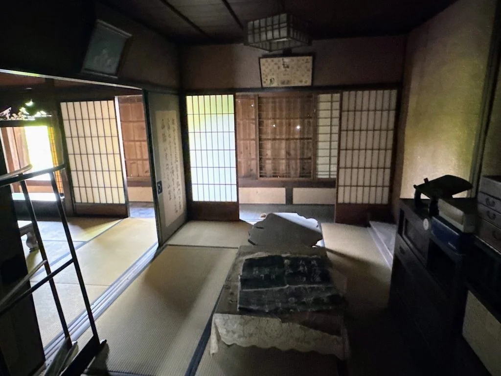 View 8