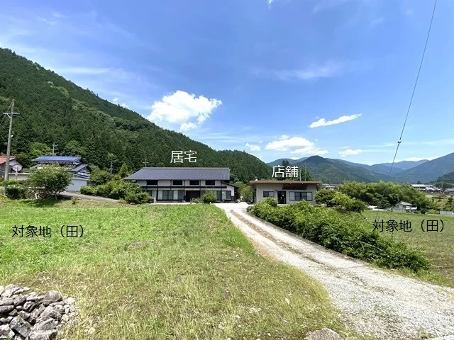 View 21
