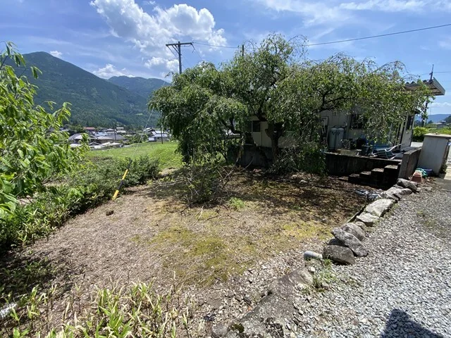 View 44