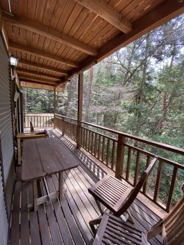 View 16