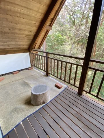 View 8