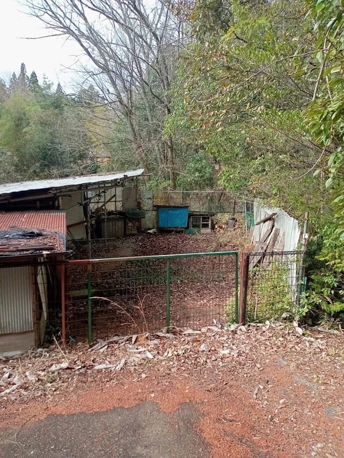 View 16
