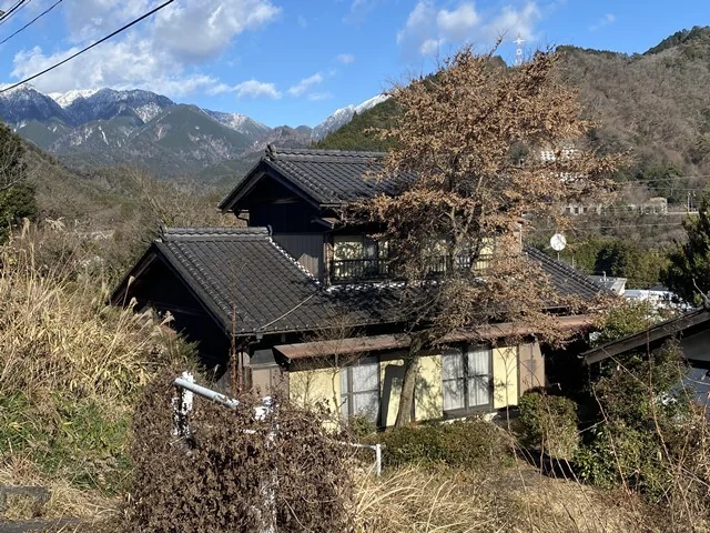 View 18