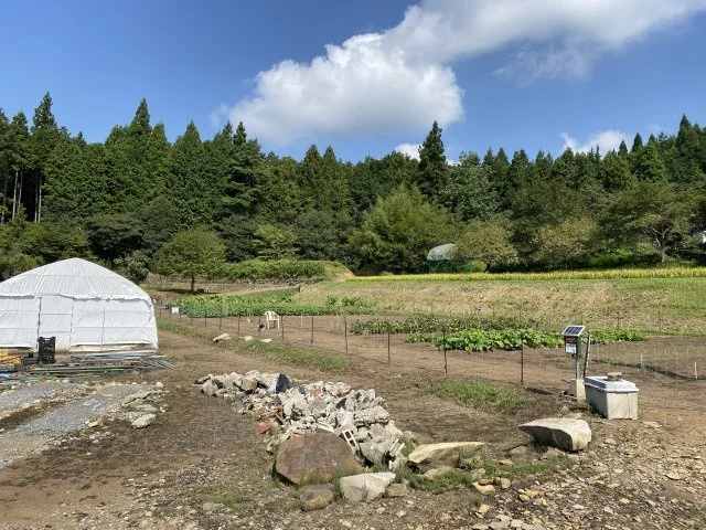 View 11