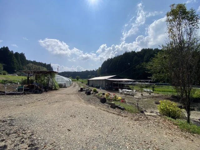 View 16