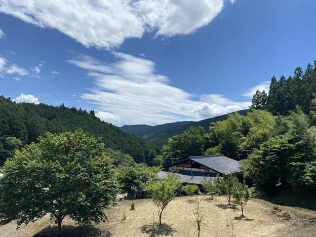 View 2