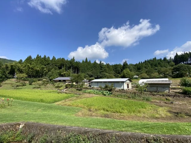 View 8