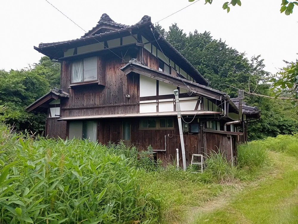 View 8