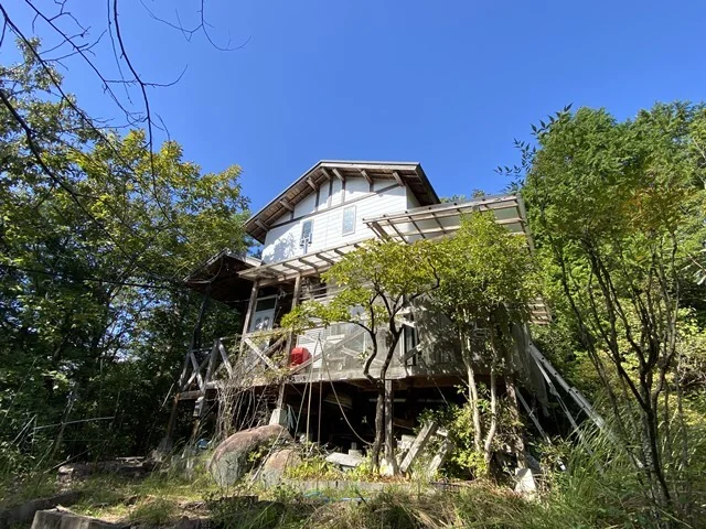 View 14