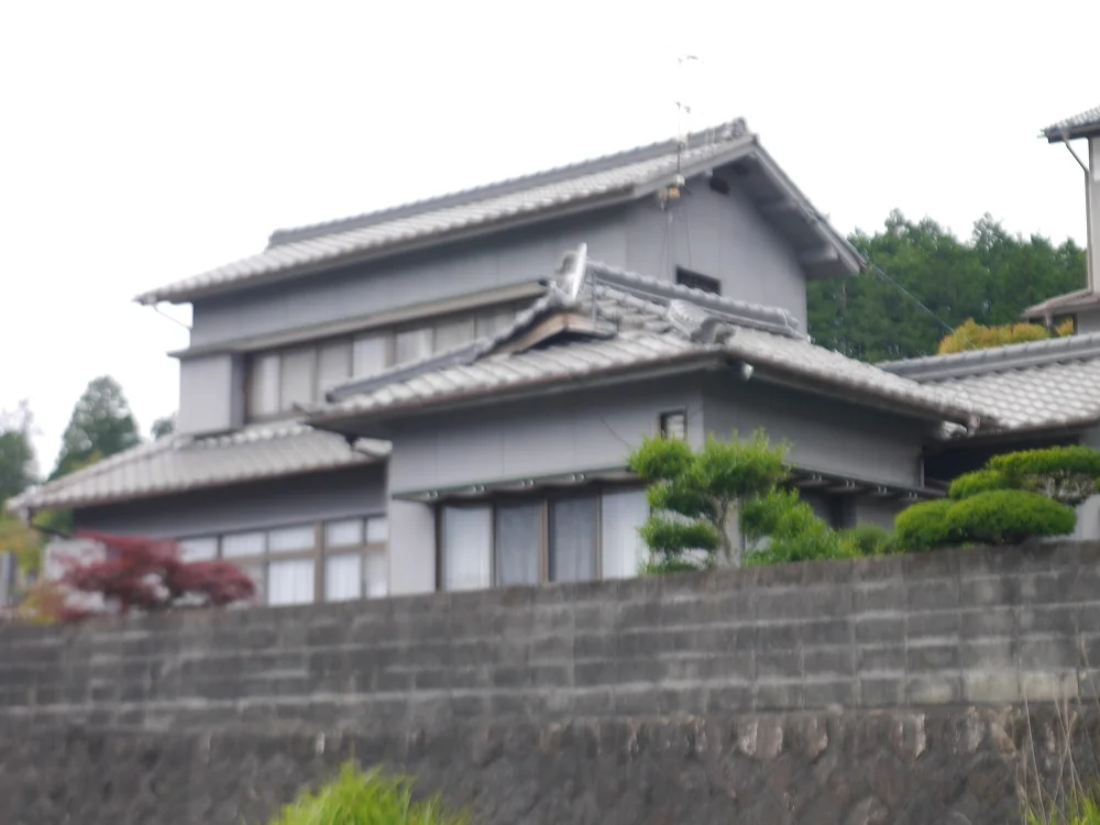 View 7